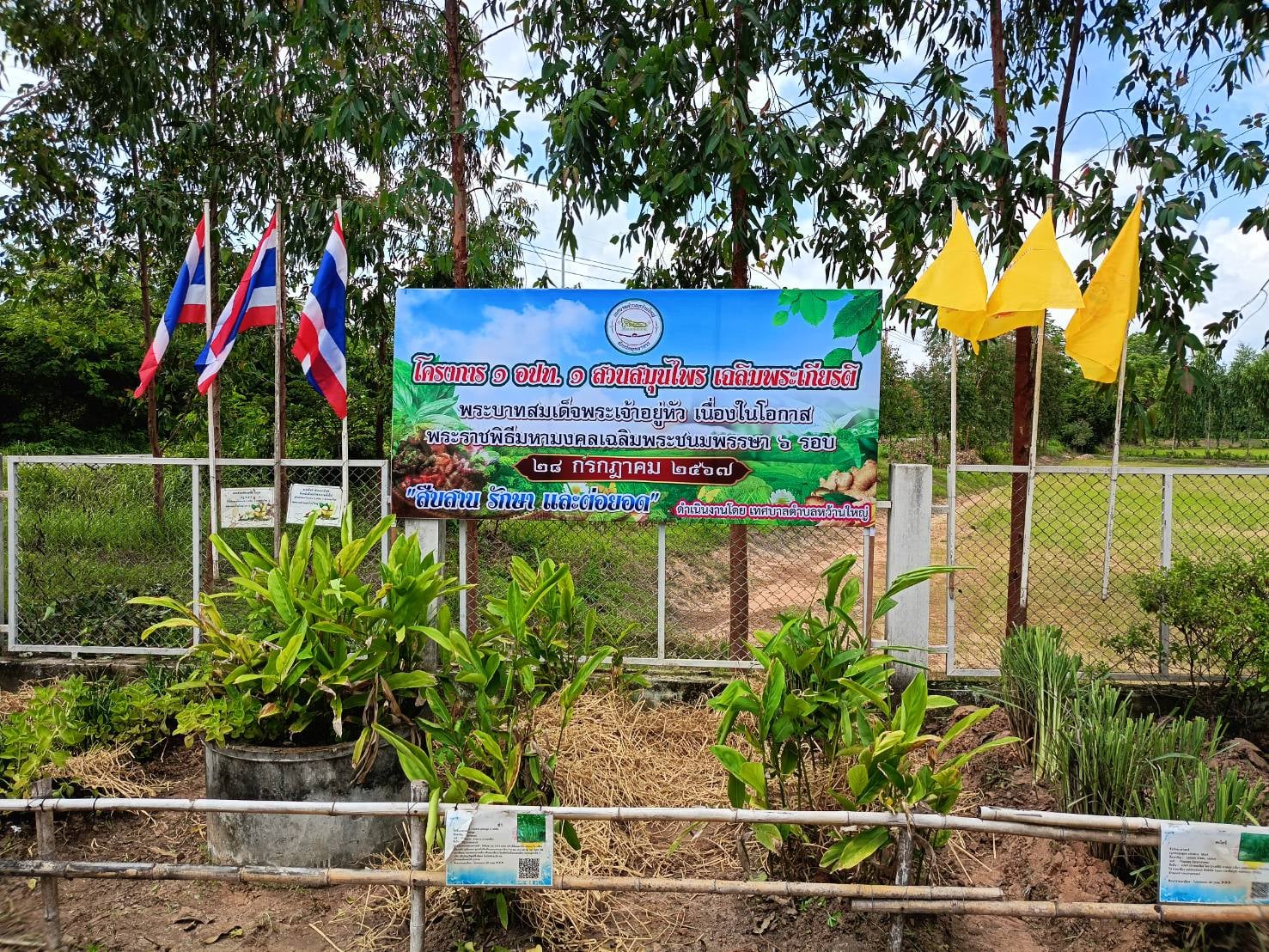 เทศบาลหว้านใหญ่